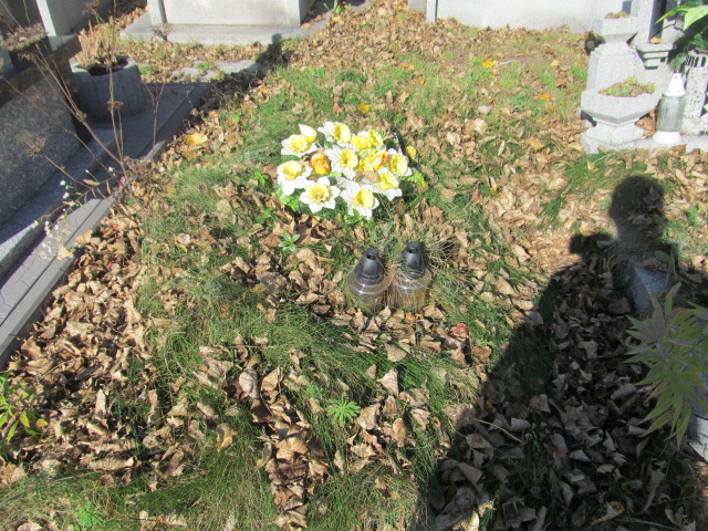  NN Będzin - Grobonet - Wyszukiwarka osób pochowanych