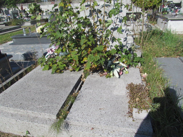  NN Będzin - Grobonet - Wyszukiwarka osób pochowanych