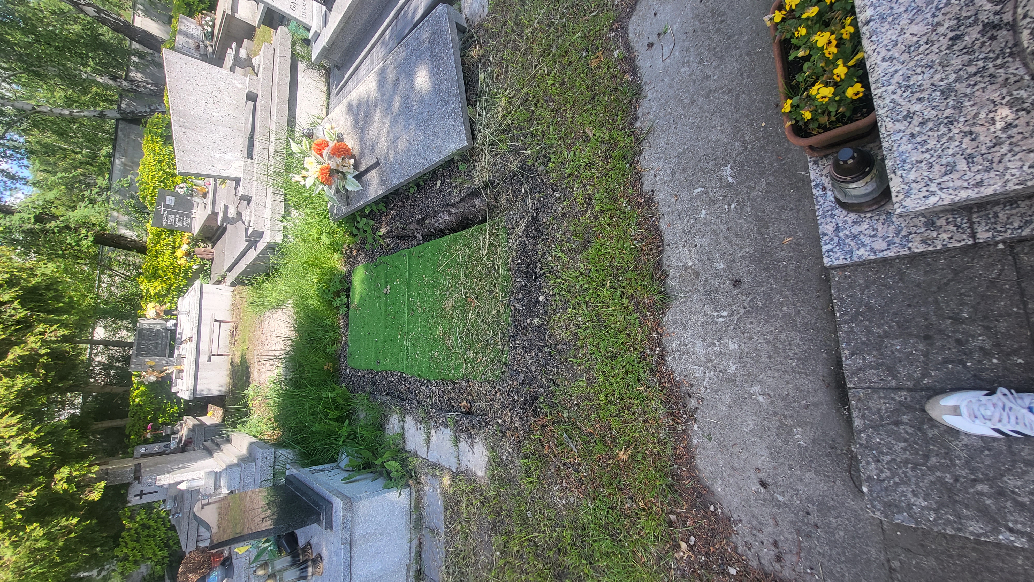  Rezerwacja Będzin - Grobonet - Wyszukiwarka osób pochowanych