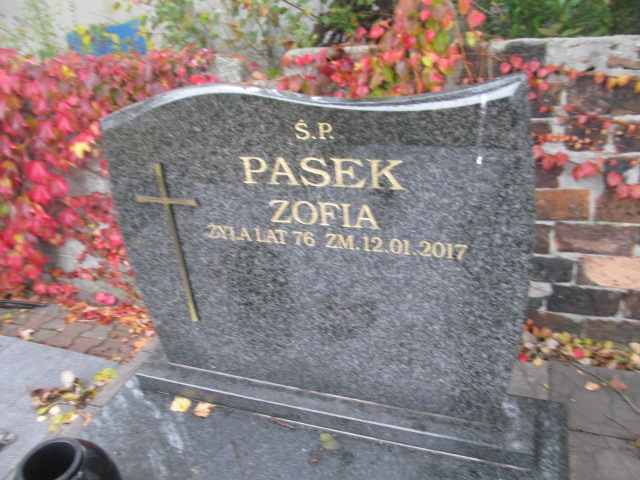 Edward Pasek Będzin - Grobonet - Wyszukiwarka osób pochowanych