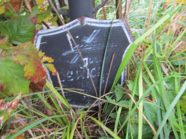 Julia Lewicka Będzin - Grobonet - Wyszukiwarka osób pochowanych