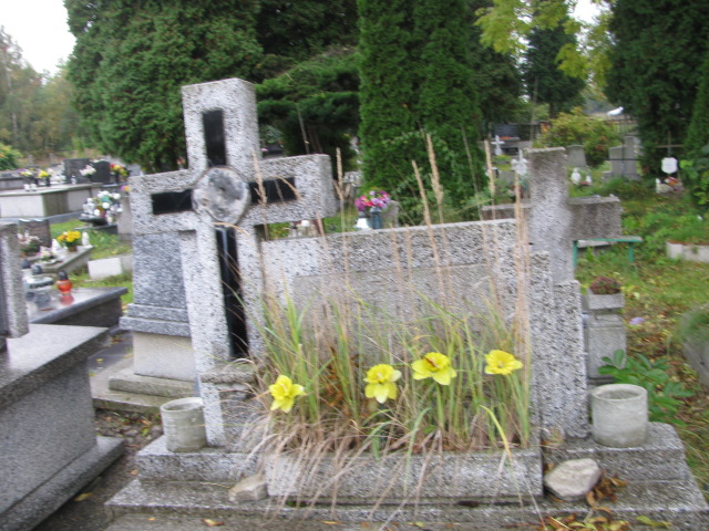  NN Będzin - Grobonet - Wyszukiwarka osób pochowanych