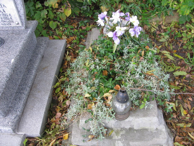  NN Będzin - Grobonet - Wyszukiwarka osób pochowanych