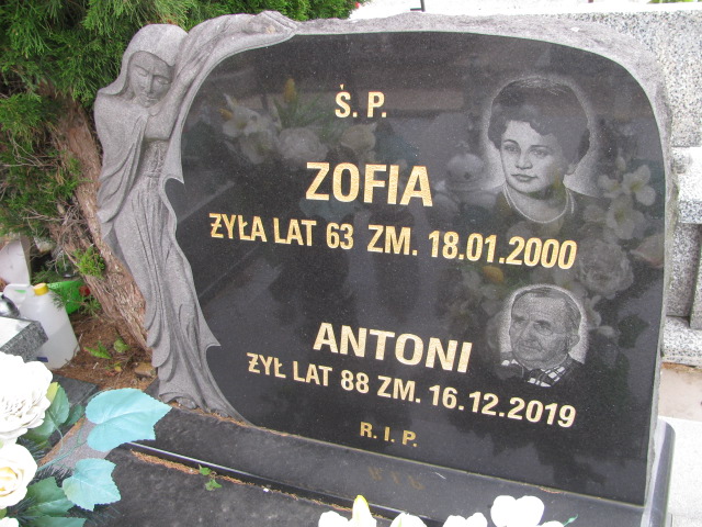 Antoni Leszczyński Będzin - Grobonet - Wyszukiwarka osób pochowanych